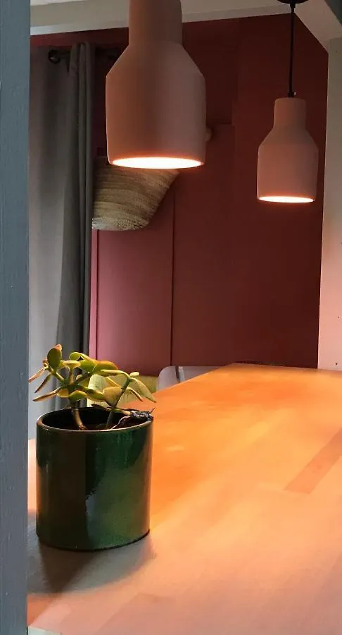아파트 Appartement Douillet, Plein Centre 르샹봉쉬르리뇽